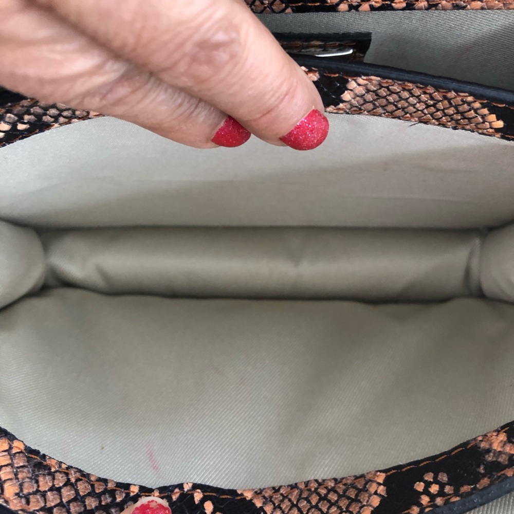 Titti Python Valentino Purse - image 6